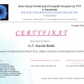 Powiększ obraz: certificate 31