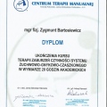 Powiększ obraz: certificate 57