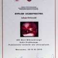 Powiększ obraz: certificate 25