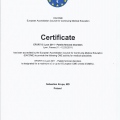 Powiększ obraz: certificate 11