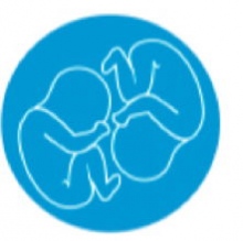 Poradnie dla Kobiet Gemelli