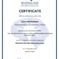 Powiększ obraz: certificate 2