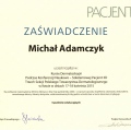 Powiększ obraz: certificate 1