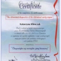 Powiększ obraz: certificate 2