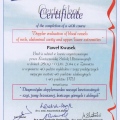 Powiększ obraz: certificate 2