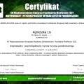 Powiększ obraz: certificate 1