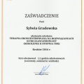 Powiększ obraz: certificate 3