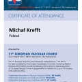Powiększ obraz: certificate 2