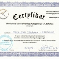 Powiększ obraz: certificate 5