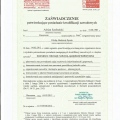 Powiększ obraz: certificate 14
