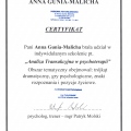 Powiększ obraz: certificate 1