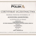 Powiększ obraz: certificate 4