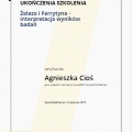 Powiększ obraz: certificate 24