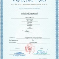 Powiększ obraz: certificate 13