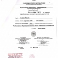 Powiększ obraz: certificate 4