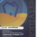 Powiększ obraz: certificate 13