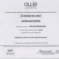 Powiększ obraz: certificate 11