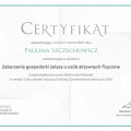 Powiększ obraz: certificate 109