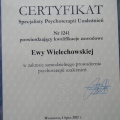 Powiększ obraz: certificate 1