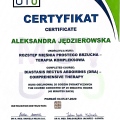 Powiększ obraz: certificate 9