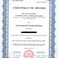 Powiększ obraz: certificate 1