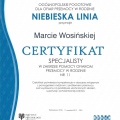 Powiększ obraz: certificate 4