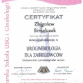 Powiększ obraz: certificate 12