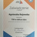 Powiększ obraz: certificate 13