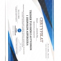 Powiększ obraz: certificate 13