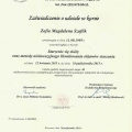 Powiększ obraz: certificate 4