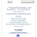 Powiększ obraz: certificate 6