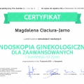 Powiększ obraz: certificate 9