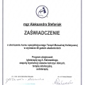 Powiększ obraz: certificate 6