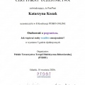 Powiększ obraz: certificate 20