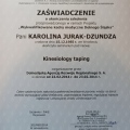Powiększ obraz: certificate 8