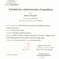 Powiększ obraz: certificate 2