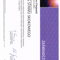 Powiększ obraz: certificate 7