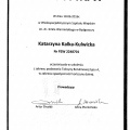 Powiększ obraz: certificate 5