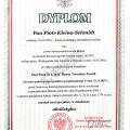 Powiększ obraz: certificate 6