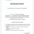 Powiększ obraz: certificate 1