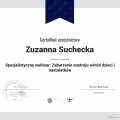 Powiększ obraz: certificate 32