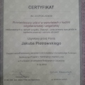 Powiększ obraz: certificate 12