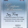 Powiększ obraz: certificate 5
