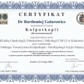 Powiększ obraz: certificate 3