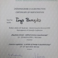 Powiększ obraz: certificate 11