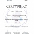 Powiększ obraz: certificate 19