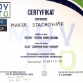 Powiększ obraz: certificate 15