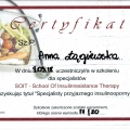 Powiększ obraz: certificate 6