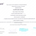 Powiększ obraz: certificate 13