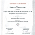 Powiększ obraz: certificate 1